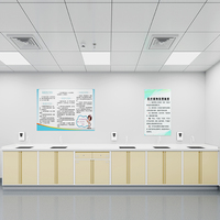 Armoire de traitement hospitalière en acier électrolytique avec plan de travail pour le stockage de médicaments stériles et armoire à déchets médicaux pour salle de destruction