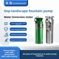 Pompe submersible triphasée à haut débit en fonte QSP(F) pour fontaine de jardin, fournie directement par le fabricant