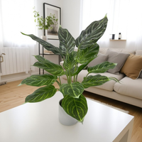 Arbre bonsaï artificiel au toucher réaliste, arbre décoratif, plantes artificielles, plantes d'intérieur pour la décoration de la maison, décoration de plantes artificielles