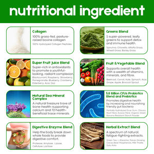 เอนไซม์ย่อยอาหารผงสีเขียวออร์แกนิก Supergreens มีโปรไบโอติกโภชนาการผงสีเขียวซุปเปอร์ฟู้ด OEM - Product Image 3