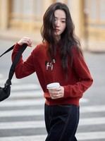 Pull en cachemire pur brodé personnalisé rouge anti-boulochage pour femme, idéal pour l'hiver et les loisirs, collection Année du Cheval