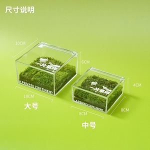Un mini jardín, caja de musgo, vegetación para escritorio de oficina, plantas en maceta, decoraciones creativas para mesa, un micro paisaje curativo - Product Image 3