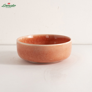 ชุดถ้วยชามพอร์ซเลนเคลือบแบบใช้ซ้ำได้เป็นมิตรกับสิ่งแวดล้อมไม่มี BPA ทนทานสำหรับบรรยากาศคาเฟ่ - Product Image 5