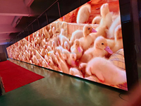 Pantalla LED Interior a Todo Color P3 RGB, Módulo de Escaneo Trece, OEM, para Ascensores y Aeropuertos, Texto, Animación, Gráficos, 5000cd