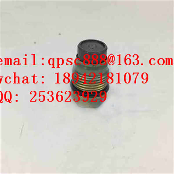 1110010015 0021015515 Injector pump pressure release limit valve 