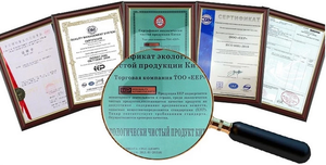 Amortiguador KYB de Gas trasero automático EEP para Mazda TRIBUTE EPEW <span class=keywords><strong>FORD</strong></span> <span class=keywords><strong>ESCAPE</strong></span> MAVERICK 01-04 344356 - Product Image 6