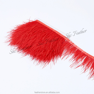 Múltiples Colores en Stock, Adorno de Encaje con Plumas de Avestruz de 8-10cm, 1 Capa, Flecos de Avestruz de Buena Calidad para Decoración de Vestidos Hechos a Mano - Product Image 4