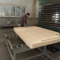 Proyek Penjualan Panas Kayu Lapis Laminasi 3mm 6mm 9mm 18mm 4x8 Kayu Basswood Birch Lembaran Kayu Lapis Komersial untuk Furnitur untuk Interior Kendaraan@Atap Kereta
