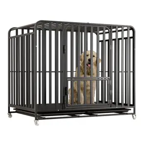 Cage pour animaux de compagnie robuste caisse pliante pour chien et chat