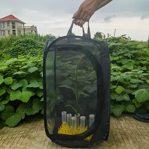 Novo tamanho 35x35x60cm vendas diretas da fábrica todo-preto planta estufa incubadora de insetos transmissora de luz gaiolas pop-up para borboletas