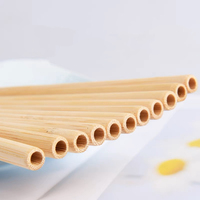 Pailles à boire en bambou naturel de qualité supérieure, écologiques, jetables, 8 pouces