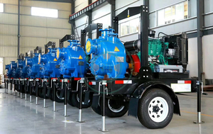 Pompe centrifuge auto-amorçante agricole 15 CV pour l'irrigation - Product Image 3