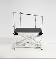 Table de toilettage électrique relevable pour animaux, protection anti-fuite, construction automatique en acier inoxydable, rangement sécurisé sous la table