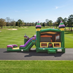 Château gonflable commercial avec toboggan pour la <span class=keywords><strong>location</strong></span> - Product Image 2