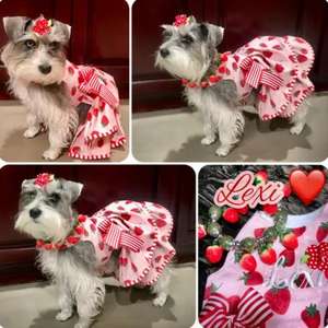 סיטונאי תות כלב לרתום שמלת פרע מחוך נסיכת חיות מחמד שמלת לחתונה מסיבת יום הולדת - Product Image 5