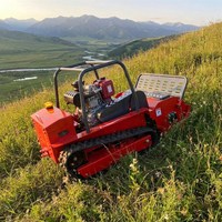 Tondeuse à gazon RC Crawler 15HP Diesel Robuste avec lame de déneigement pour utilisation hivernale tout-terrain – Modèle d'usine