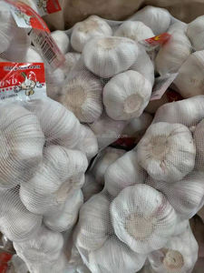 กระเทียมขาวสดออร์แกนิกปอกเปลือก ตราจูฟู เกรดอาหารจีน ขนาด 5.5 ซม. น้ำหนัก 10 กก. แหล่งผลิตเหอหนาน ขายส่ง - Product Image 6
