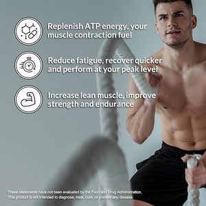 Private Label Creatine Monohydrate <strong>Powder</strong> Post Workout Supplement Energy BCAA Creatine <strong>Electrolyte</strong> <strong>Powder</strong> - Product Image 3