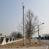 Acier galvanisé 5G Cellule Wifi GSM Antenne Télécom Treillis Pôles 15/20/30/35/45 Mètre Monopole Communication Single Tube Mât