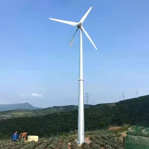 中国工厂风力发电机6kw 8kw 10kw水平轴风力发电机120V/220V发电机