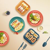 Ensemble de vaisselle de camping en plastique passe au lave-vaisselle ensemble de pique-nique réutilisable sans BPA recyclable RPET recyclé tasse bol assiette ensemble de couverts