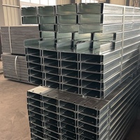 Hot Dipped Galvanized Steel C Channel HDG Coated Perforated C Purlin for Solar Panel Bracket and Roofing