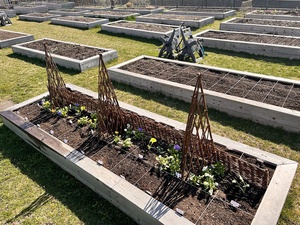 Tự đứng mở rộng wicker <span class=keywords><strong>trellis</strong></span> ngoài trời bảo vệ thực vật kim tự tháp <span class=keywords><strong>trellis</strong></span> leo <span class=keywords><strong>obelisk</strong></span> cho hoa cây hàng rào cổng - Product Image 6