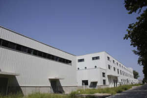 Nuoyuan Hoge Kwaliteit Hot Selling Food Grade Tongkat Ali 200:1 Met De Beste Prijs - Product Image 2