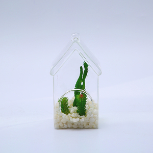 Transparente Hausform Glasvase <span class=keywords><strong>Terrarium</strong></span> mit Loch - Product Image 5