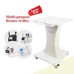 Wholesale Salon Furniture Factory Price Equipment Hairdressing Distributor Price Free Logo Oversized Table Salon Trolley