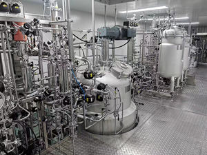 Biorreator de Aço Inoxidável de 1000L com Certificação GMP Padrão da UE, Controle Automático, Origem de Xangai, Modelo BLBIO-1000SJA-4 - Product Image 4