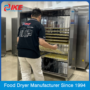 Machine de séchage de prix usine pieds de poulet commerciaux mangue fruits déshydrateur de cuir par <span class=keywords><strong>IKE</strong></span> - Product Image 5
