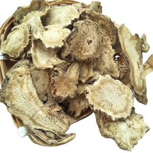 Dang Gui Preço Acessível Raiz Seca de Angelica Sinensis - Product Image 1