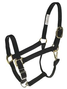 Reliable Horse Halter With Durable Hardware For Grooming Training And Transportation Activities Daily - Product Image 6