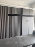 Luz colgante LED Ce Rohs para oficina en casa Luz de comedor de forma larga con 3 años de garantía Tamaños medios