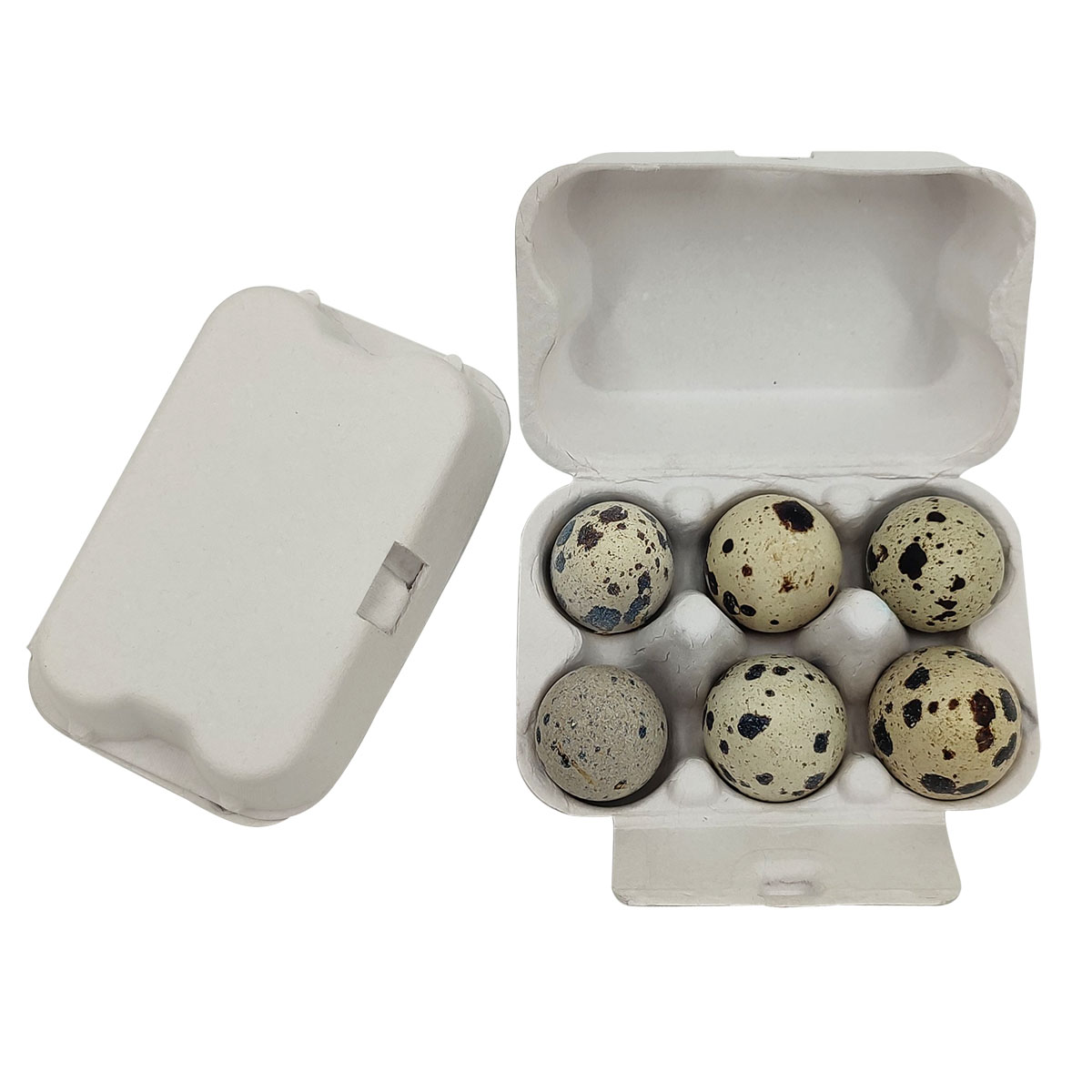 Paper Pulp Quail Egg Carton Manufacturers China Customized Products