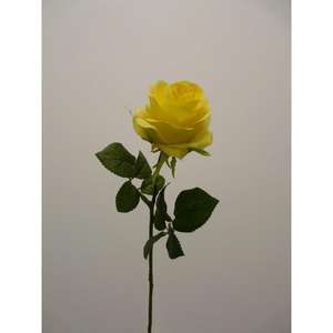 ROSA MARIA SPRAY X1 68CM YL - Product Image 1