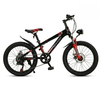 Vélo de montagne pour enfants SY Kids' Student, pour garçons et filles, 18/20/22 pouces, pédales, suspension, freins à disque doubles, vitesses.