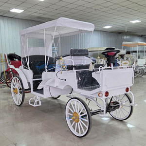 รถม้าไฟฟ้าคลาสสิกยอดนิยม รถบัสชมวิวสุดหรู ผลิตจากเหล็กกล้า สำหรับการขนส่งพิเศษ - Product Image 3