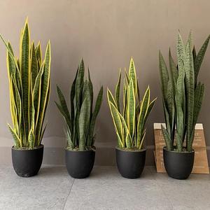 Bonsái de <span class=keywords><strong>Agave</strong></span> de Aloe Vera Tropical Artificial más vendido, hoja de hierba de simulación realista de plástico verde <span class=keywords><strong>pequeño</strong></span> para decoración del hogar - Product Image 2