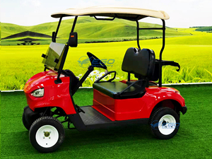 Carrito de Golf Económico de 2 Plazas, Precios Bajos, Carrito de Golf Eléctrico con Certificación - Product Image 6