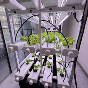 Système de culture <span class=keywords><strong>hydroponique</strong></span> intelligent Skyplant à 5 niveaux-Jardin intérieur contrôlé par WiFi avec lumières de croissance LED, réservoir de 200L - Product Image 4