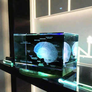Modèle anatomique médical du cerveau humain en cristal K9 brillant, artisanat, <span class=keywords><strong>cube</strong></span> <span class=keywords><strong>photo</strong></span> en verre <span class=keywords><strong>3D</strong></span>, laser, <span class=keywords><strong>cube</strong></span> en cristal vierge, presse-papier - Product Image 5