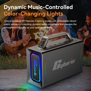 X21 多功能便携式户外卡拉 OK 无线音箱内置混音器双 UHF 无线麦克风和鲜艳的 RGB 灯 - Product Image 5