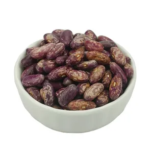 Best Quality Purple Speckled Kidney Bean Long Shape Cooking Red Kidney Beans