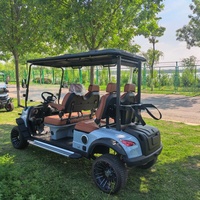 Voiturette de golf électrique à entretien facile, mini-voiturette de golf 2 ou 4 places écoénergétique, prix usine abordable