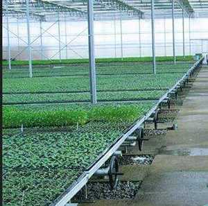 Tavolo da Coltivazione Mobile 4x8 con Vassoio Ebb&Flow per Serre Agricole, con Drenaggio e Aiuola per Semina - Product Image 4