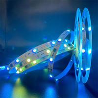 Оптовая продажа Водонепроницаемая Волшебная WS2811 30LED/M 60LED/M подводная Светодиодная лента Ip68 Rgbw цифровая светодиодная лента гибкий свет бассейн