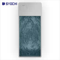Baignoire de massage autonome en acier inoxydable Syochi pour athlètes, bain froid et spa