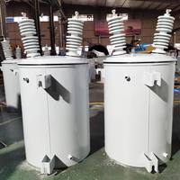 Transformador de Potencia Monofásico de Tipo Aceite, Montado en Poste, de 75KVA, 100KVA, 250KVA, 11KV/0.220V, 50Hz/60Hz, Ahorro de Energía, Precio de Fábrica D11